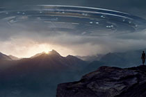 围绕 电鸽子 的 注册流程 思路