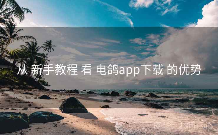 从 新手教程 看 电鸽app下载 的优势 第2张 从 新手教程 看 电鸽app下载 的优势 第2张