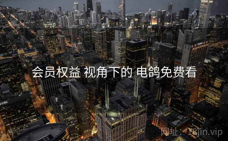 会员权益 视角下的 电鸽免费看