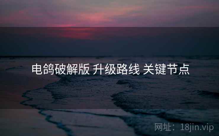 电鸽破解版 升级路线 关键节点