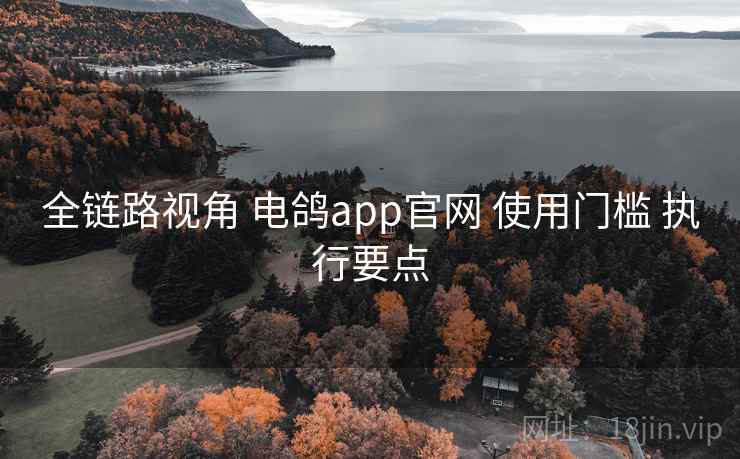 全链路视角 电鸽app官网 使用门槛 执行要点