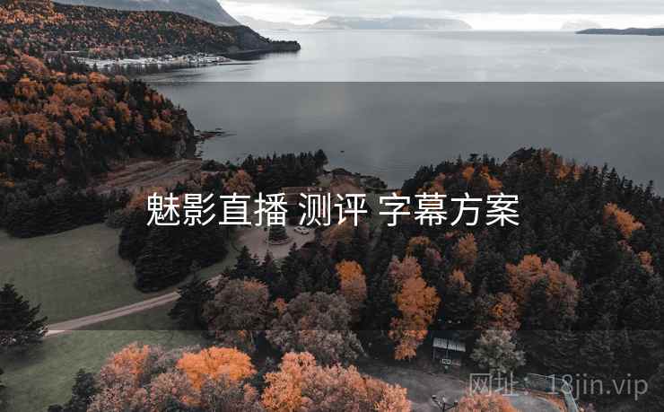魅影直播 测评 字幕方案