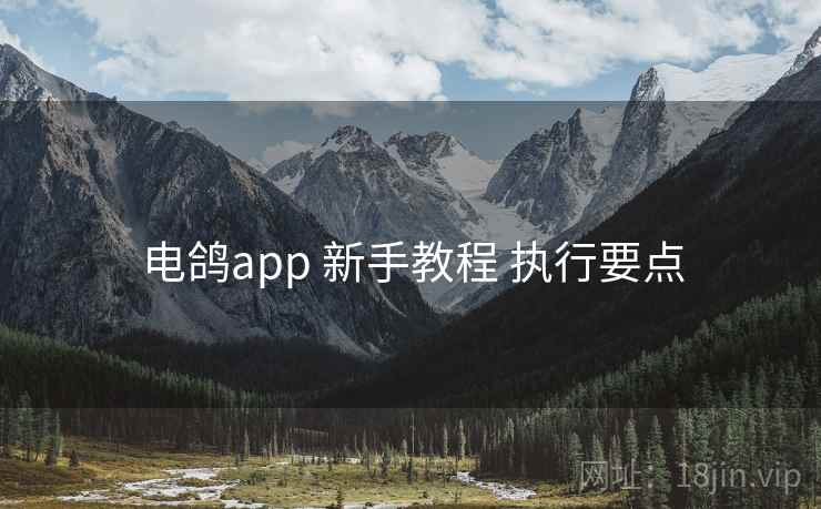电鸽app 新手教程 执行要点